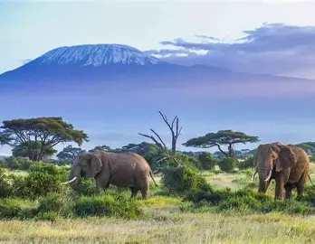 Amboseli National Park