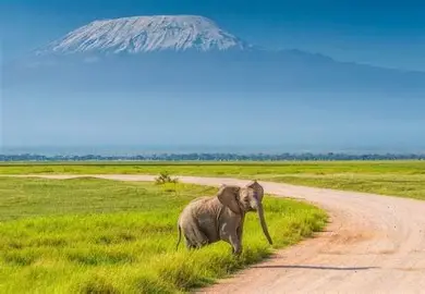 Amboseli National Park 3