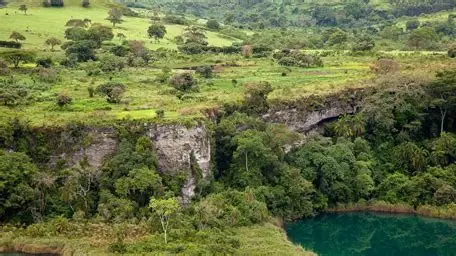 Kibale Forest