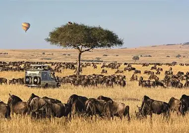Masai Mara National Reserve