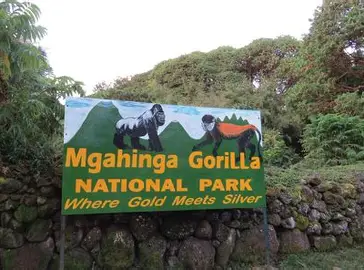Mgahinga Gorilla National Park