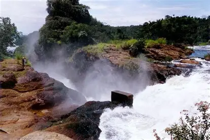 Murchison Falls 2
