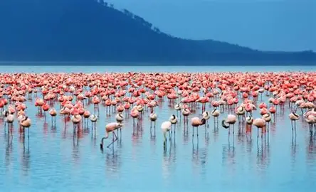 Lake Nakuru National Park