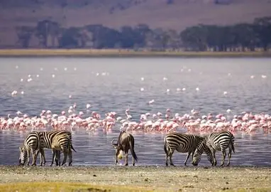 Lake Nakuru National Park 3