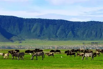 Ngorongoro Crater 2