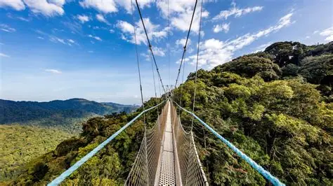 Nyungwe Forest National Park 2