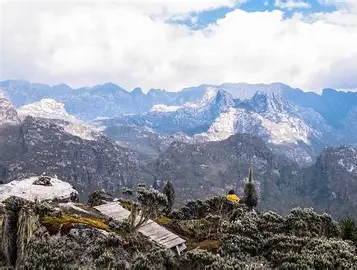 Rwenzori Mountains 1