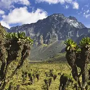 Rwenzori Mountains 3