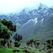 Rwenzori Mountains 2