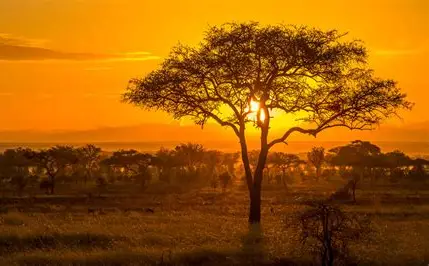 Serengeti National Park 2