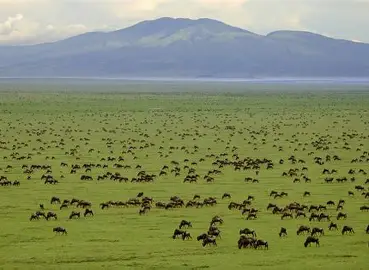 Serengeti National Park