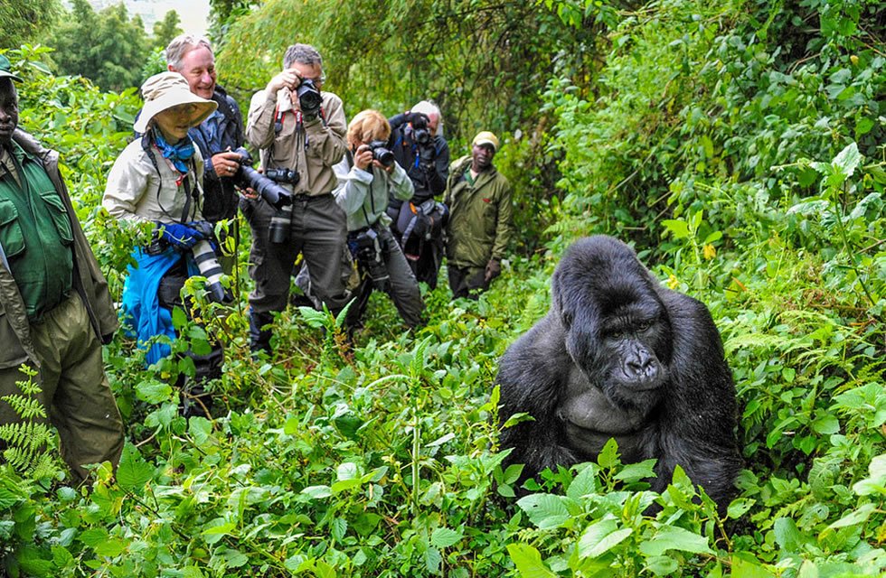 Our Tours & Safaris