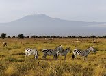 Amboseli National Park