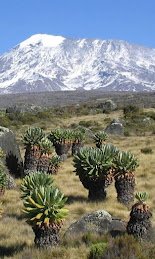 Mount Kilimanjaro