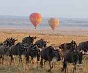 Serengeti National Park