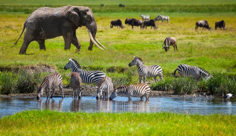 Tanzania